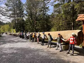 Rakitniški jambor je v ležečem položaju daljši od naše vrste