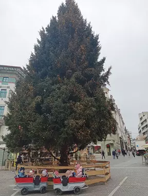 Sprehod z vozovi do smreke Anite s prižganimi lučkami v centru Ljubljane